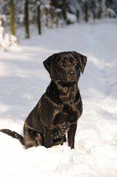 Similar image 8013403