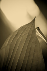 Similar image 8013404