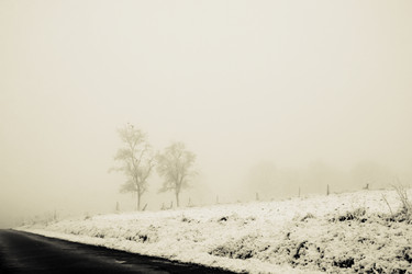 Similar image 8013409