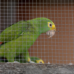 Similar image 8013413