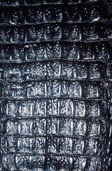 Similar image 8013415