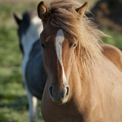 Similar image 8013426