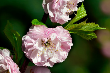 Similar image 8013433