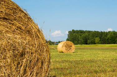 Similar image 8013450