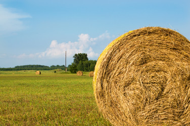 Similar image 8013451