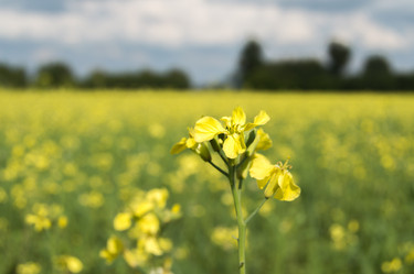 Similar image 8013453