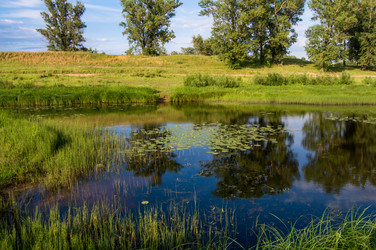 Similar image 8013454