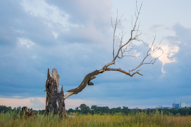 Similar image 8013455