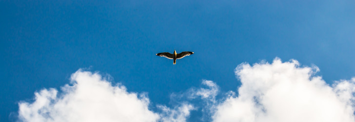 Similar image 8013456