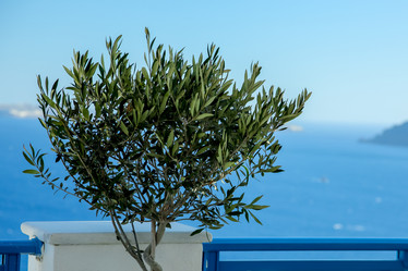 Similar image 8013471