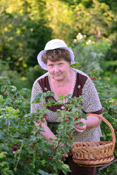 Similar image 8013496