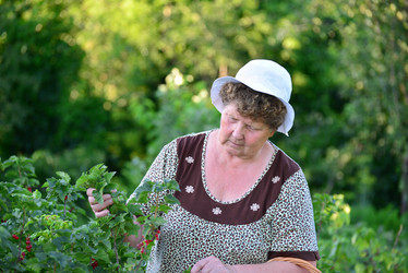 Similar image 8013497