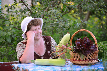 Similar image 8013498