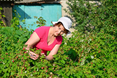 Similar image 8013511