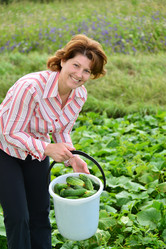 Similar image 8013523