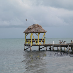 Similar image 8013586