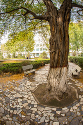 Similar image 8013593