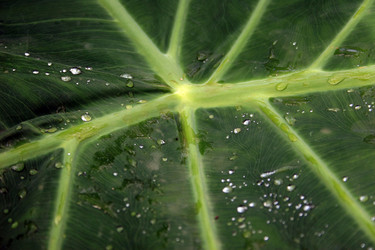 Similar image 8013599