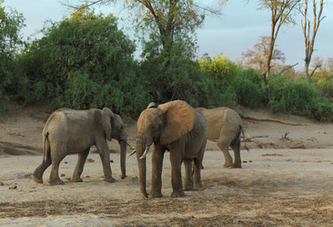 Similar image 8013600