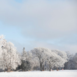 Similar image 8013605