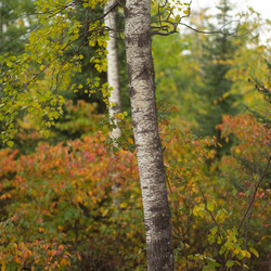 Similar image 8013610