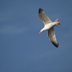 Similar image 8013612