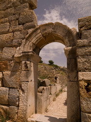 Similar image 8013616