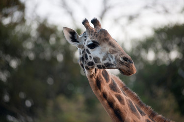 Similar image 8013617