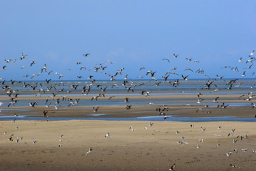 Similar image 8013620