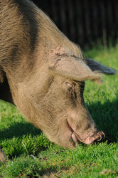 Similar image 8013624