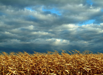 Similar image 8013627