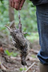 Similar image 8013630