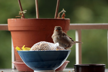 Similar image 8013636