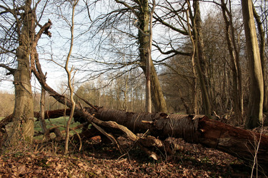 Similar image 8013638