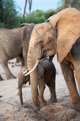 Similar image 8013641