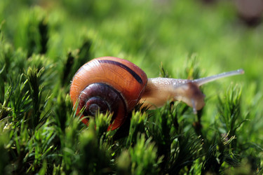 Similar image 8013646