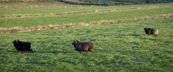 Similar image 8013649