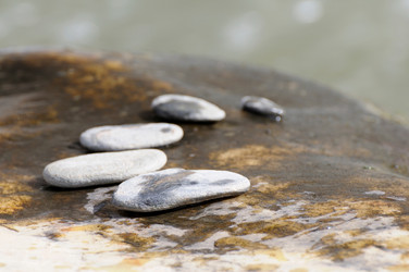 Similar image 8013654