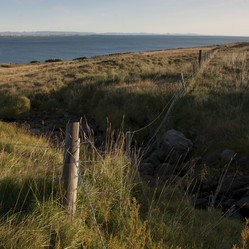 Similar image 8013655