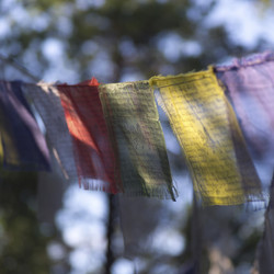 Similar image 8013660