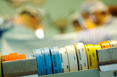 Similar image 8013673