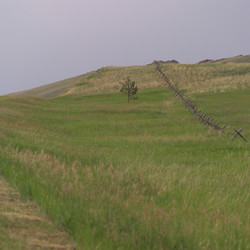 Similar image 8013677