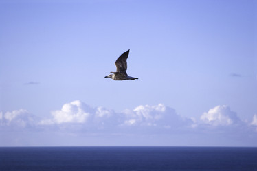 Similar image 8013680