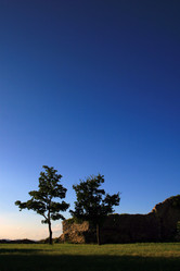 Similar image 8013684