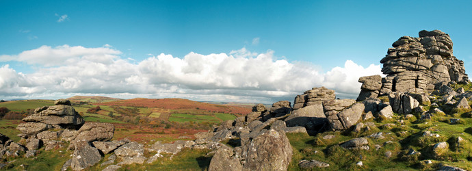 Similar image 8013688