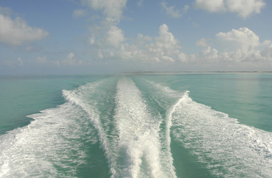 Similar image 8013689