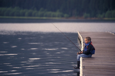 Similar image 8013690