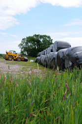 Similar image 8013691