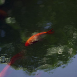 Similar image 8013692