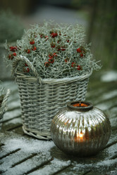 Similar image 8013697